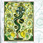Steve Earle Album: “I Feel Alright” Steve Earle Album: “I Feel Alright”