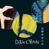 Dixie Chicks Album: “Fly”