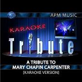 Disco de Mary Chapin Carpenter: “Karaoke Tribute: A Tribute To Mary Chapin Carpenter”