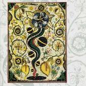 Steve Earle Album: “I Feel Alright”